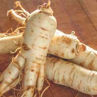 Panax ginseng root, an ingredient in Sugar Defender drops